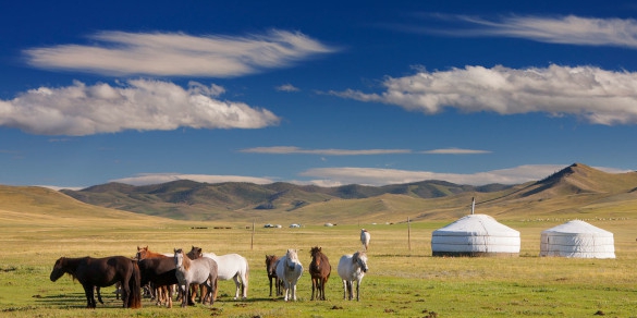 Ilustracja dekoracyjne. Mongolski step. Konie, jurty, błękitne niebo.