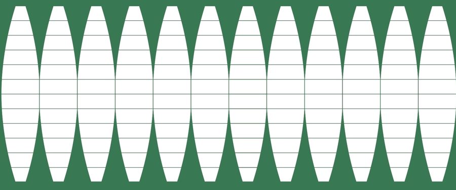 siatka południków i równoleżników w kolorze zielonym