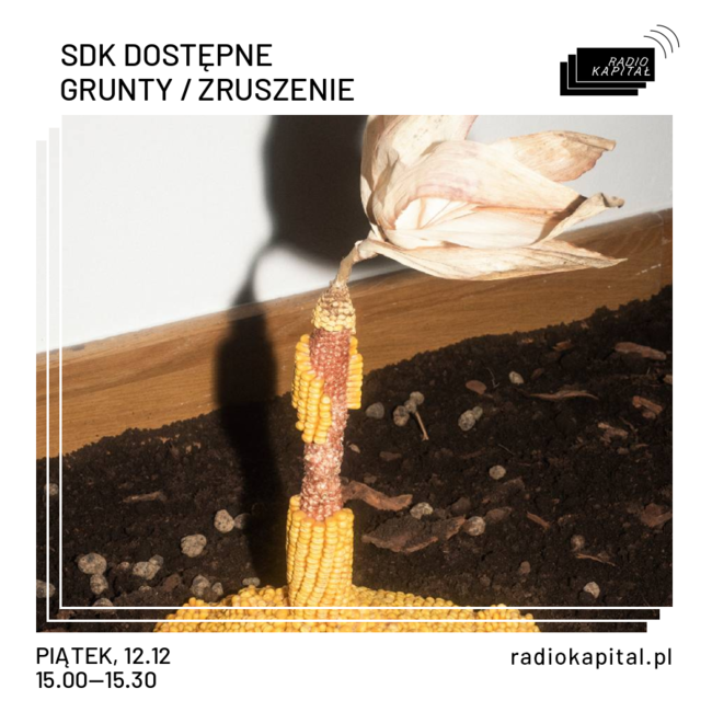 1 obraz w galerii artykułu AUDYCJA SDK DOSTEPNE W RADIO KAPITAŁ: GRUNTY / ZRUSZENIE