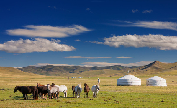 1 obraz w galerii artykułu Świat mongolskiego stepu